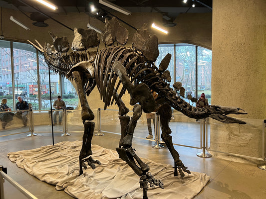 The Most Expensive Art & Artifacts of 2024–2025