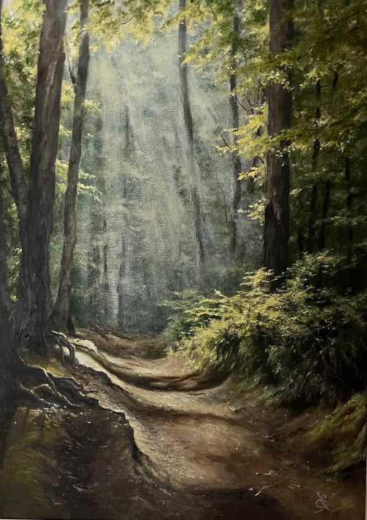 The Bachata of Shadows. Irpin Forest