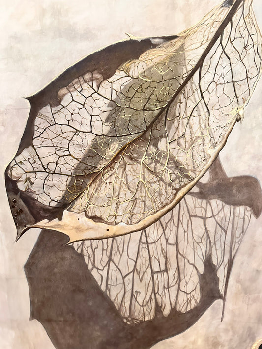 Physalis