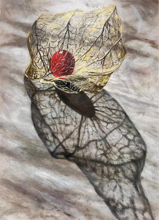PHYSALIS 2